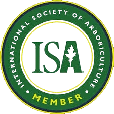 ISA Member badge